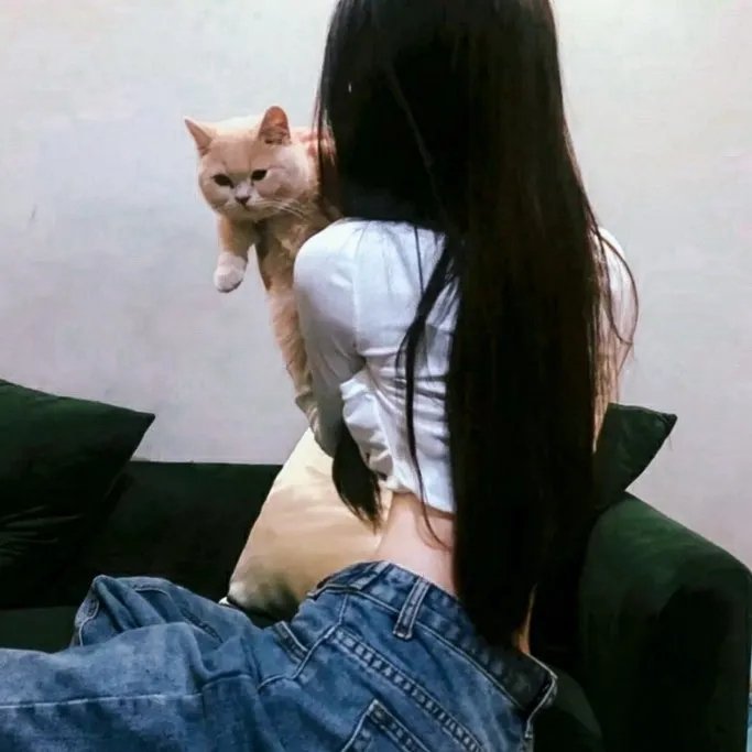 返朴